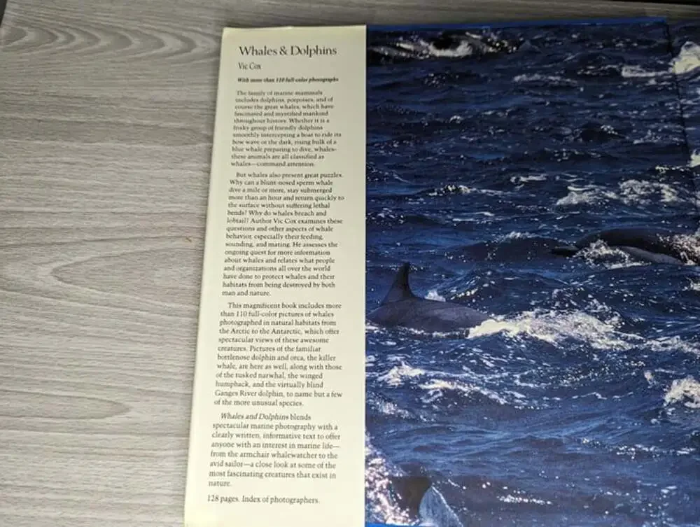 Whales & Dolphins Hardcover Book